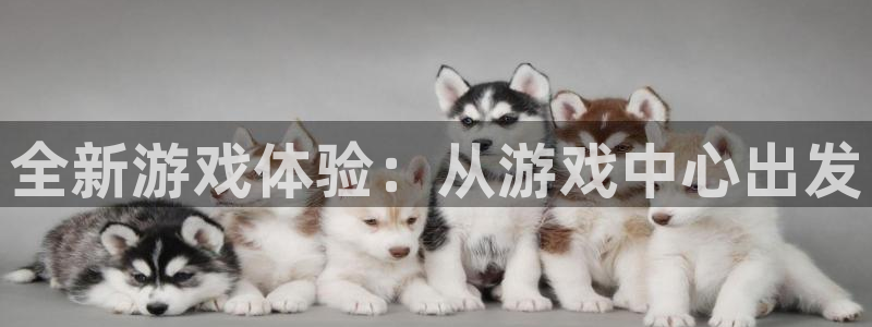 杏悦平台招商：全新游戏体验：从游戏中心出发