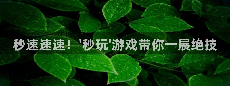 杏悦登入：秒速速速！\'秒玩\'游戏带你一展绝技