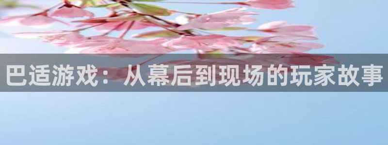杏悦娱乐注册账号是什么：巴适游戏：从幕后到现场的玩家故事