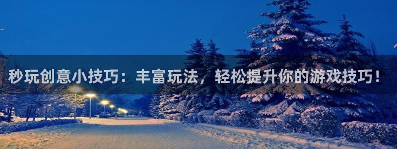 杏悦娱乐注册地址在哪里啊：秒玩创意小技巧：丰富玩法，轻松提升