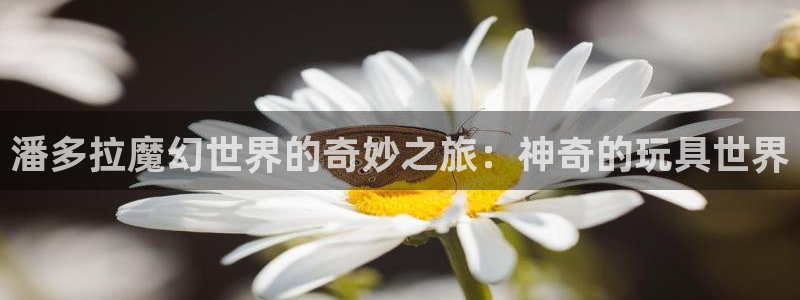 杏悦娱乐总代理