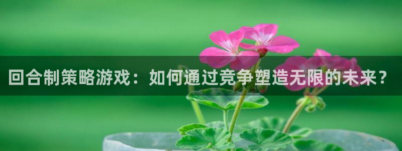 杏悦娱乐注册地址查询官网