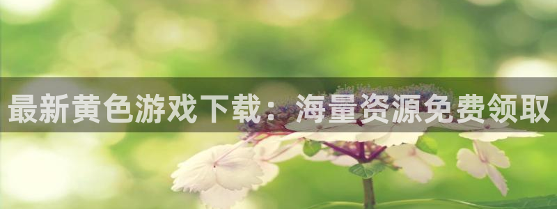 杏悦娱乐注册平台官网