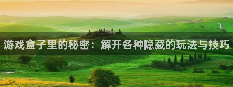 杏悦平台注册流程：游戏盒子里的秘密：解开各种隐藏的玩法与技巧